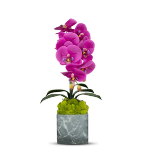 T&C Floral Company BKL Grey Marble like Container Single FU Orchid w/Moss