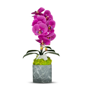 T&C Floral Company BK Grey Marble like Container Single FU Orchid w/Quartz