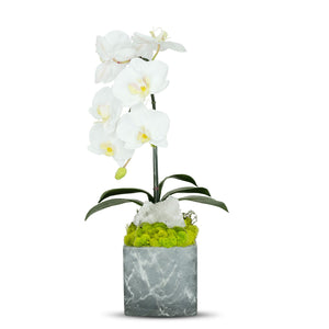 T&C Floral Company BK Grey Marble like Container Single WH Orchid w/Quartz