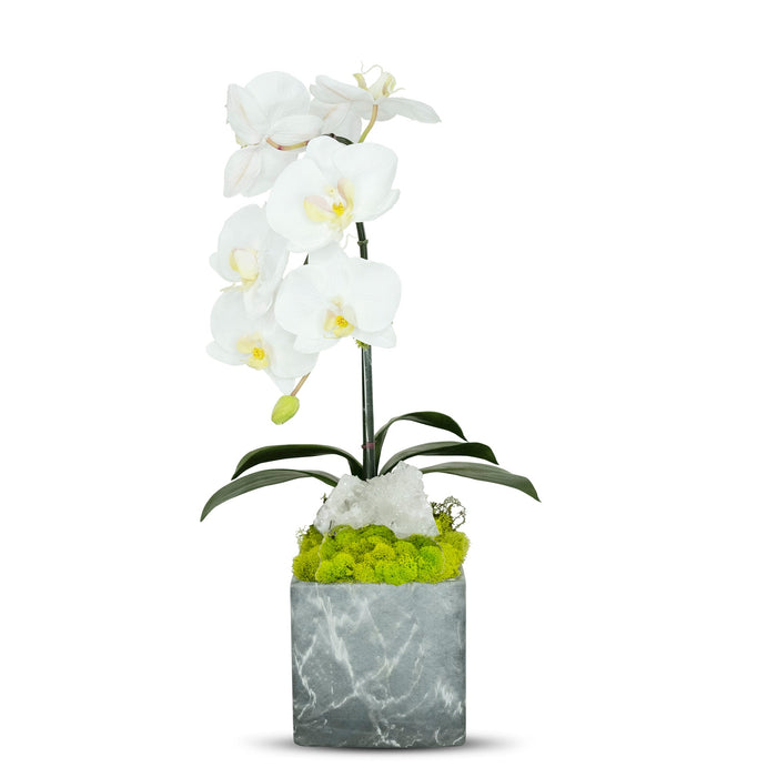 T&C Floral Company BK Grey Marble like Container Single WH Orchid w/Quartz