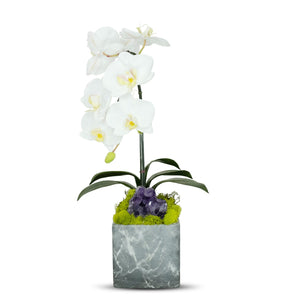 T&C Floral Company Blk Marble like Container Single WH Orchid/Amethyst