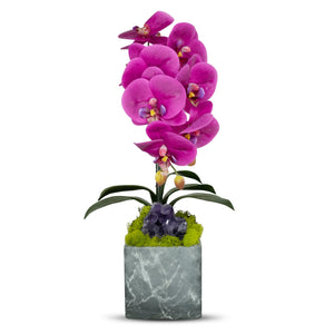 T&C Floral Company Blk Marble like Container Single FU Orchid/Amethyst