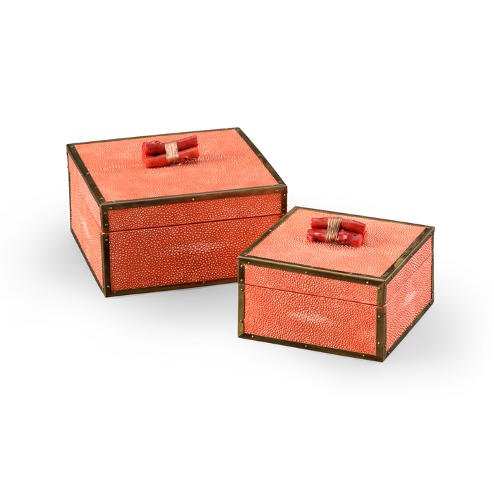 Wildwood Coral Boxes - Coral (S2)