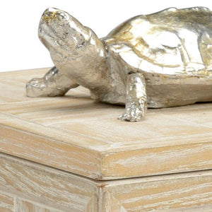 Wildwood Tortoise Box (Sm)