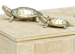 Wildwood Tortoise Family Box