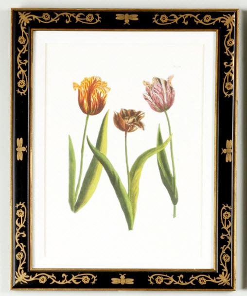 Chelsea House Tulip/Dec.frame(988)