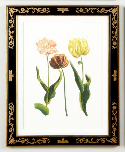 Chelsea House Tulip/Dec.frame(985)