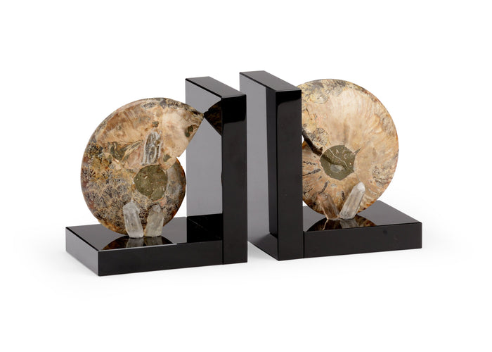 Chelsea House Fossil Bookends (Pr)