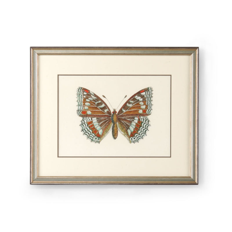 Chelsea House Butterfly V – eCTURE