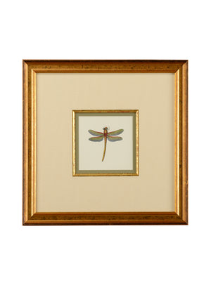 Chelsea House Miniature Dragonfly II