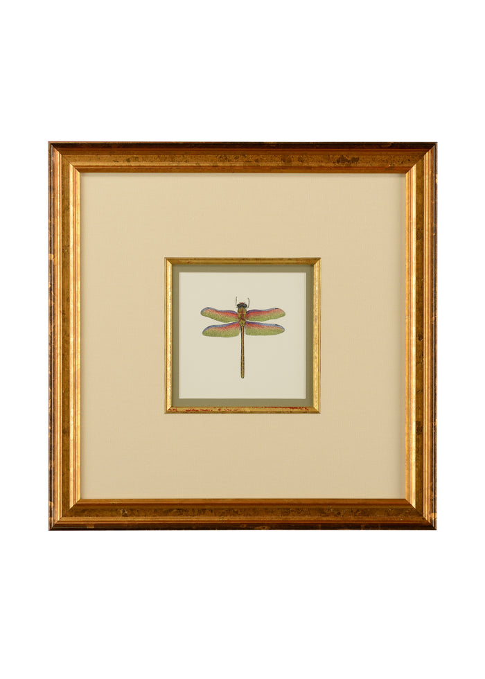 Chelsea House Miniature Dragonfly III