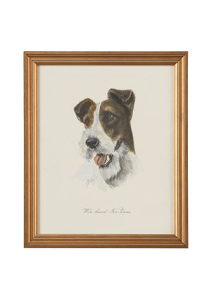 Chelsea House Wire-Haired Fox Terrier