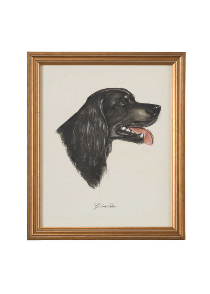 Chelsea House Gordon Setter