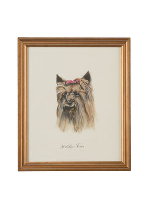 Chelsea House Yorkshire Terrier