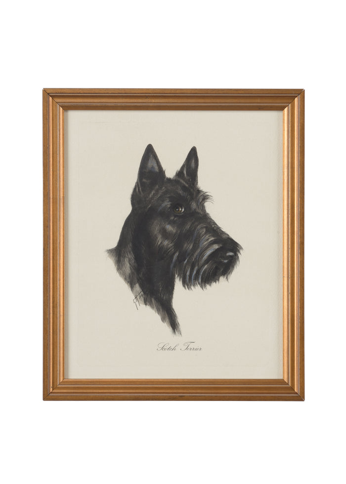 Chelsea House Scotch Terrier