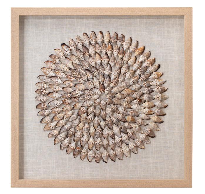 Jamie Young Riviera Framed Wall Art in Beige Simnia Shell