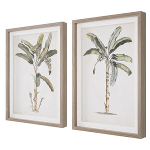 Uttermost Baa Palm Framed Prints, Set/2