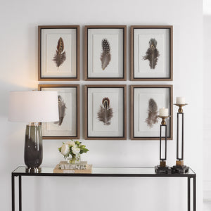 Uttermost Birds Of A Feather Framed Prints, S/6