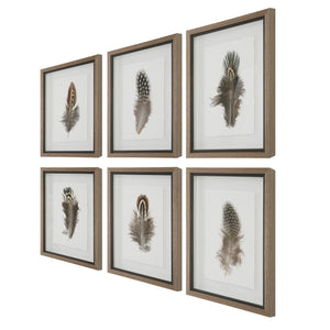 Uttermost Birds Of A Feather Framed Prints, S/6
