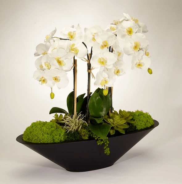 T&C Floral Company Orchid in Large Metal Boat