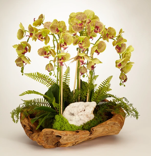 T&C Floral Company Orchid and Geode in Wood Bowl