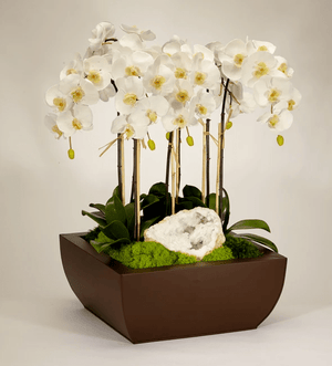 T&C Floral Company Orchid and Geode in Large Metal Box