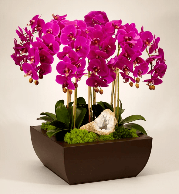 T&C Floral Company Orchid and Geode in Large Metal Box
