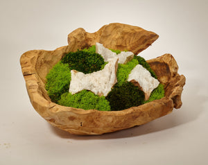 T&C Floral Company Organic Moss Garden in Hand Carved Wood Log