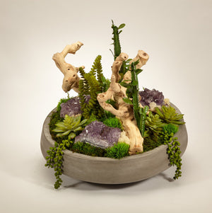 T&C Floral Company Succulents and Drift Wood in Large Concrete Bowl