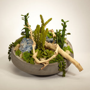 T&C Floral Company Succulents and Drift Wood in Large Concrete Bowl