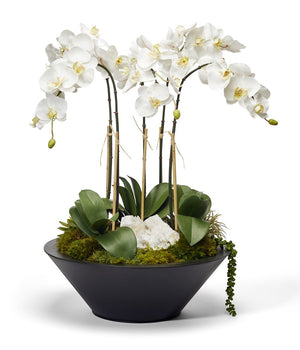 T&C Floral Company Orchid in Round Metal Container