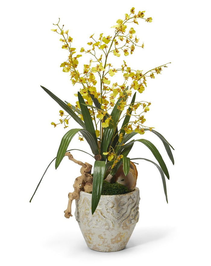 T&C Floral Company Yellow Dancing Orchids