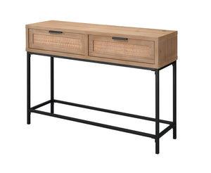 Jamie Young Reed Console Table in Washed Wood & Black Metal