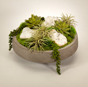 T&C Floral Company Succulents in Concrete Bowl