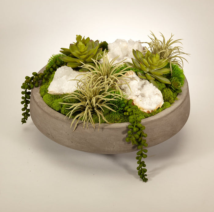 T&C Floral Company Succulents in Concrete Bowl