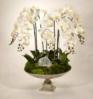 T&C Floral Company Orchid and Celestite in Large Silver Urn
