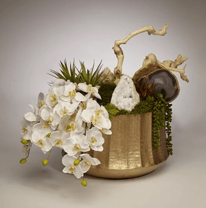 T&C Floral Company Drapped Orchids in Embellished Container