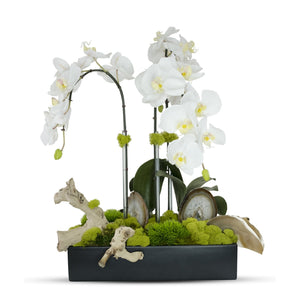 T&C Floral Company Orchids in Rectangle Ceramic w/Agate Slabs W