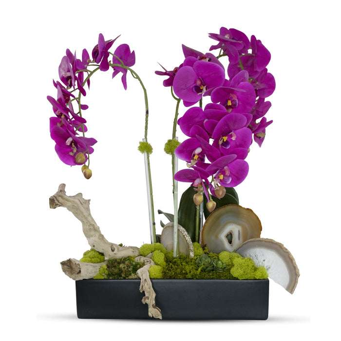 T&C Floral Company Orchids in Ret Ceramic w/Agate Slabs F