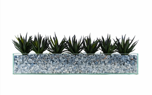 T&C Floral Company Agave in Rectangular/Glass/Crushed Blue Calcite Dark
