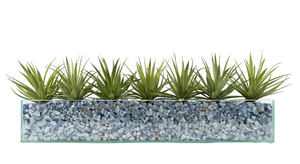 T&C Floral Company Agave in Rectangular/Glass/Crushed Blue Calcite Light