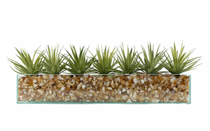 T&C Floral Company Agave in Rectangular/Glass/Crushed Citrine Light