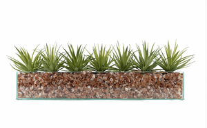 T&C Floral Company Agave in Rectangular/Glass/Crushed Red Calcite Light