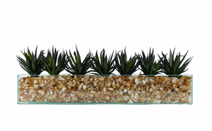 T&C Floral Company Agave in Rectangular/Glass/Crushed Citrine Dark
