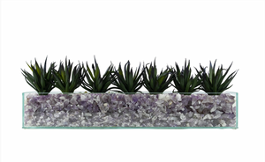 T&C Floral Company Agave in Rectangular/Glass/Crushed Amathyst Dark