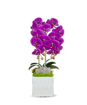 T&C Floral Company White Ceramic Double Fuschia Orchid/Quartz