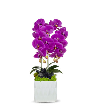 T&C Floral Company White Ceramic Double Fuschia Orchid/Black Quartz