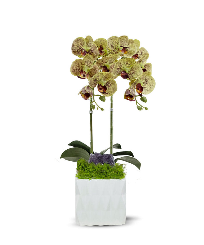 T&C Floral Company White Ceramic Double Green Orchid/Amathyst