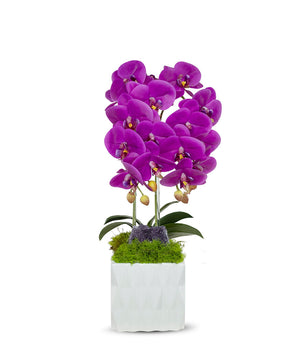 T&C Floral Company White Ceramic Double Fuschia Orchid/Amathyst