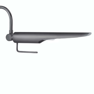 Regina Andrew Raven Task Lamp (Oil Rubbed Bronze)